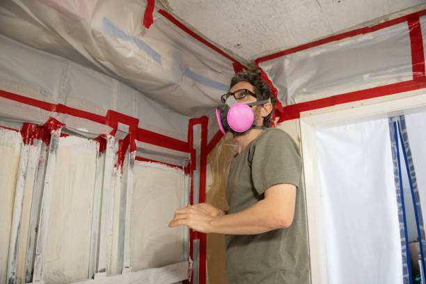 Best Mold Remediation for Healthcare Facilities  in New Canaan, CT