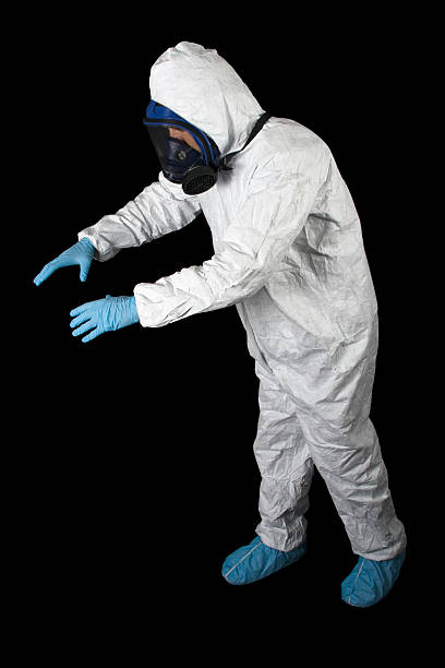 New Canaan, CT Mold Removal Company